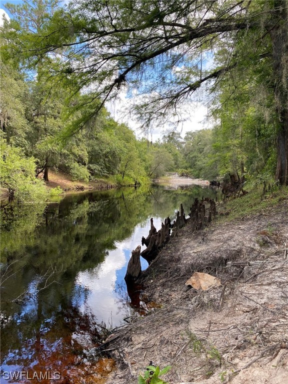 8115 Shasta Street Webster, FL 33597 - Photo 3 of 11 a view of a forest with a yard