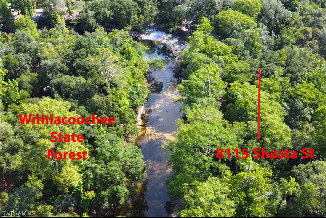 8115 Shasta Street Webster, FL 33597 - Photo 4 of 11