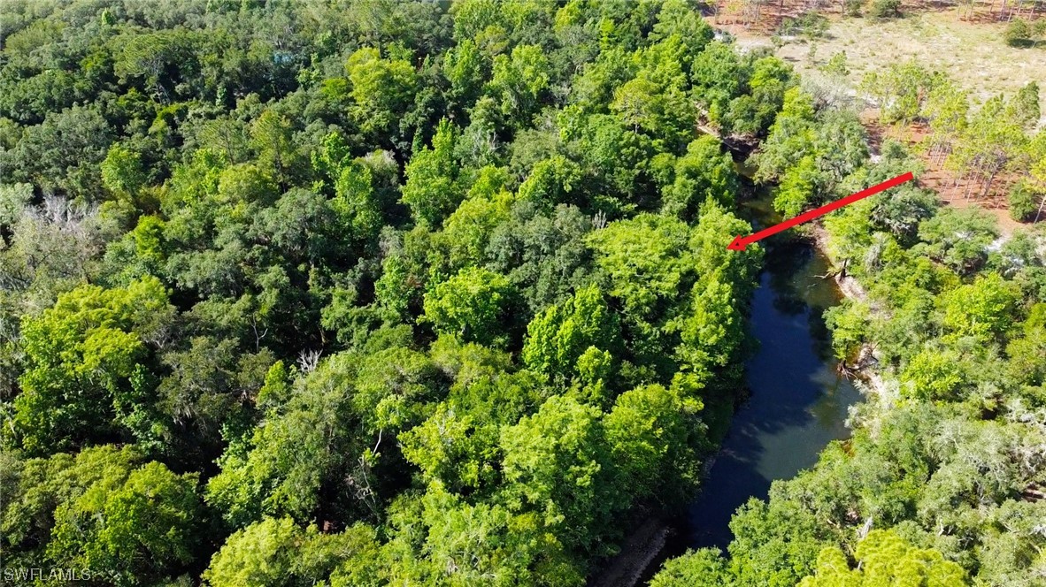 8115 Shasta Street Webster, FL 33597 - Photo 5 of 11 a view of a garden with plants