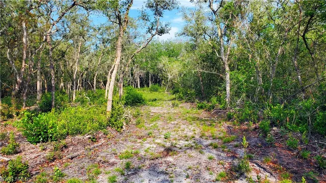 an aerial view of residential houses with outdoor space and trees