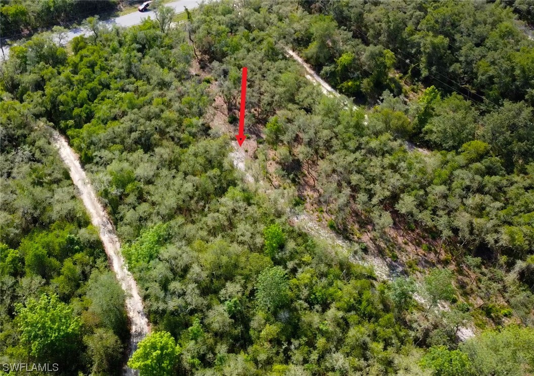 8115 Shasta Street Webster, FL 33597 - Photo 7 of 11