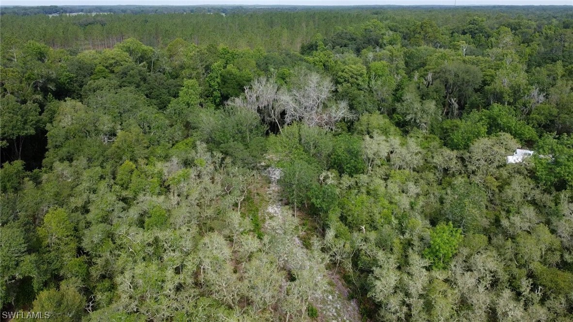 8115 Shasta Street Webster, FL 33597 - Photo 8 of 11 an aerial view of residential houses with outdoor space and trees