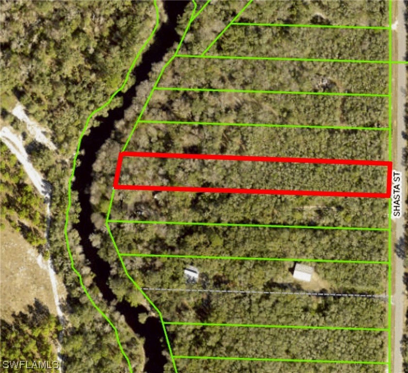 8115 Shasta Street Webster, FL 33597 - Photo 9 of 11 a view of a flower garden with a small yard