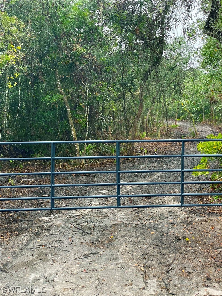 8115 Shasta Street Webster, FL 33597 - Photo 10 of 11 a view of backyard with green space