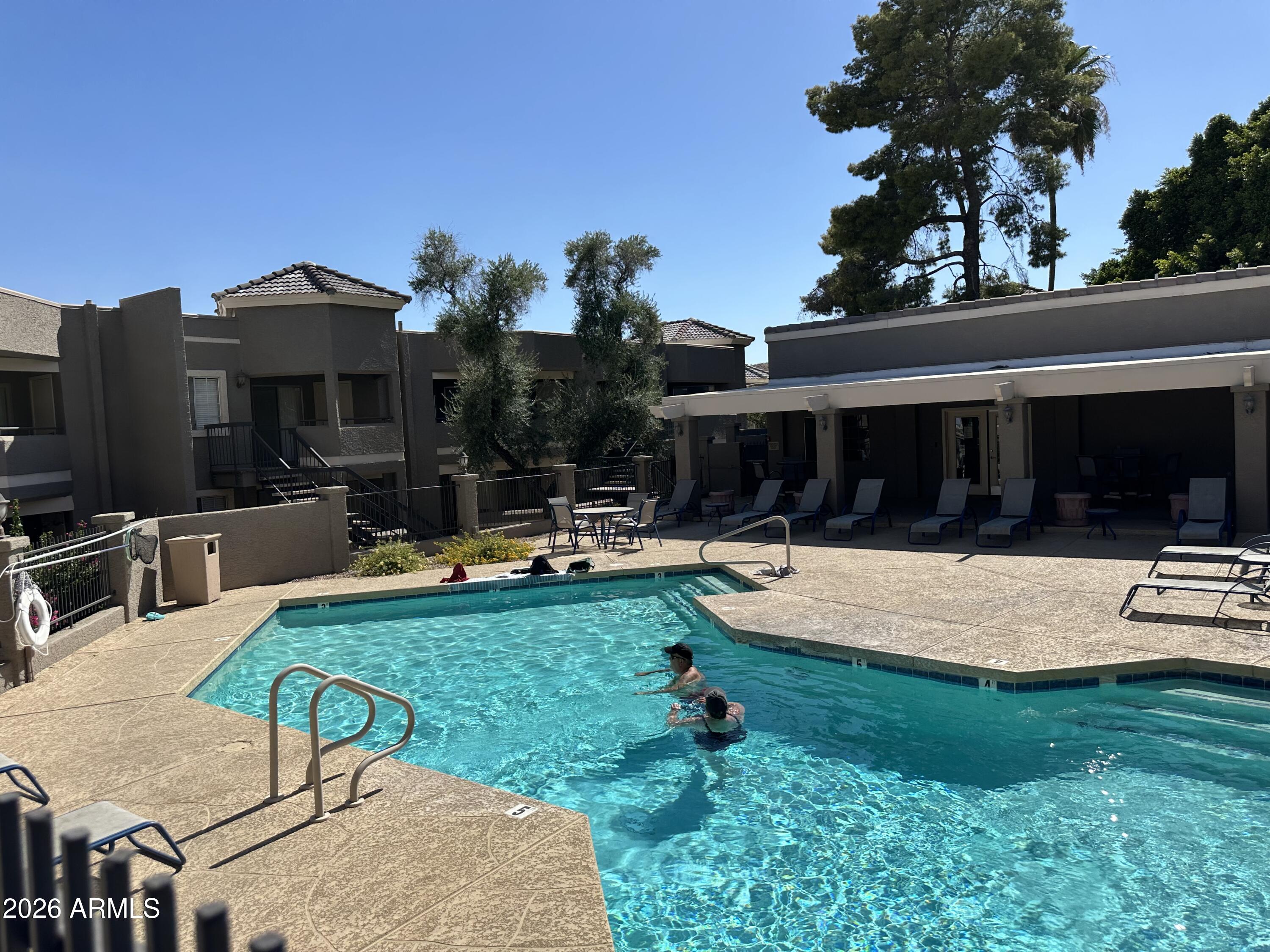 1720 East Thunderbird Road, Unit 1019 Phoenix, AZ 85022 - Photo 41 of 47 a view of a swimming pool with potted plants and palm trees