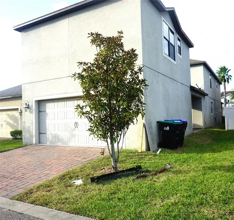 a view of a backyard with potted plants and large tree