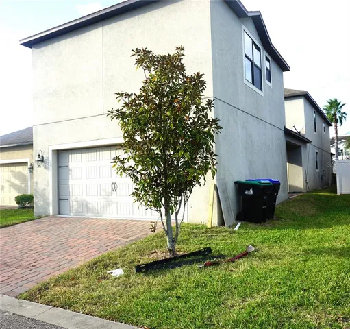 a view of a backyard with potted plants and large tree