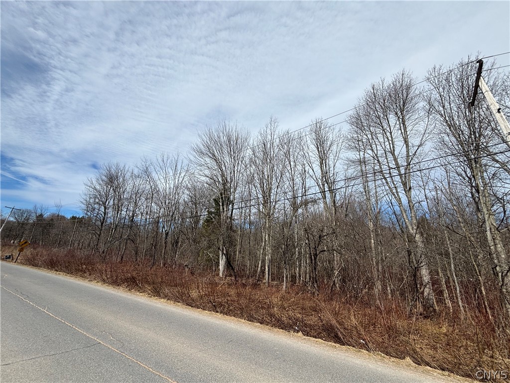 Honey Hill Road Fulton, NY 13069 - Photo 3 of 6