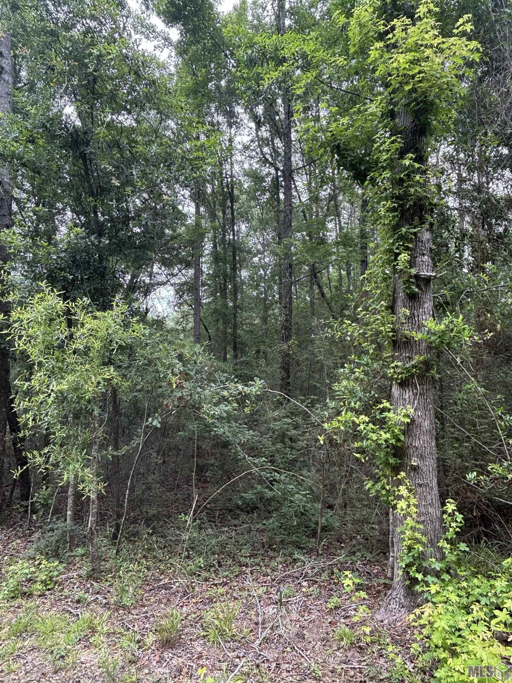 Tbd Sie Jenkins Road Bogalusa, LA 70427 - Photo 2 of 7