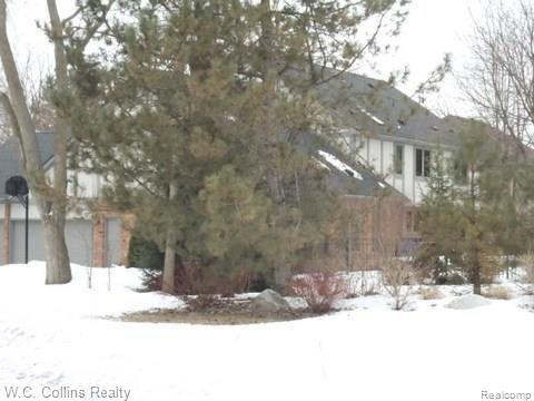 16128 Millar Road Clinton Township, MI 48036 - Photo 37 of 37 DSC03642.jpg