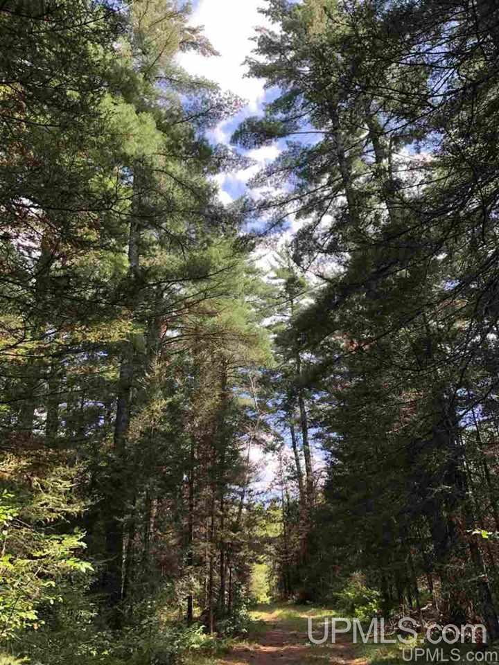 Tbd West Tower Road Ishpeming, MI 49849 - Photo 17 of 44