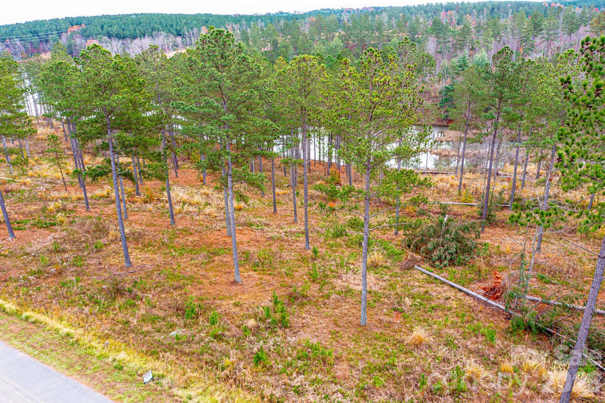 2188 Snowmass Drive Connelly Springs, NC 28612 - Photo 3 of 17