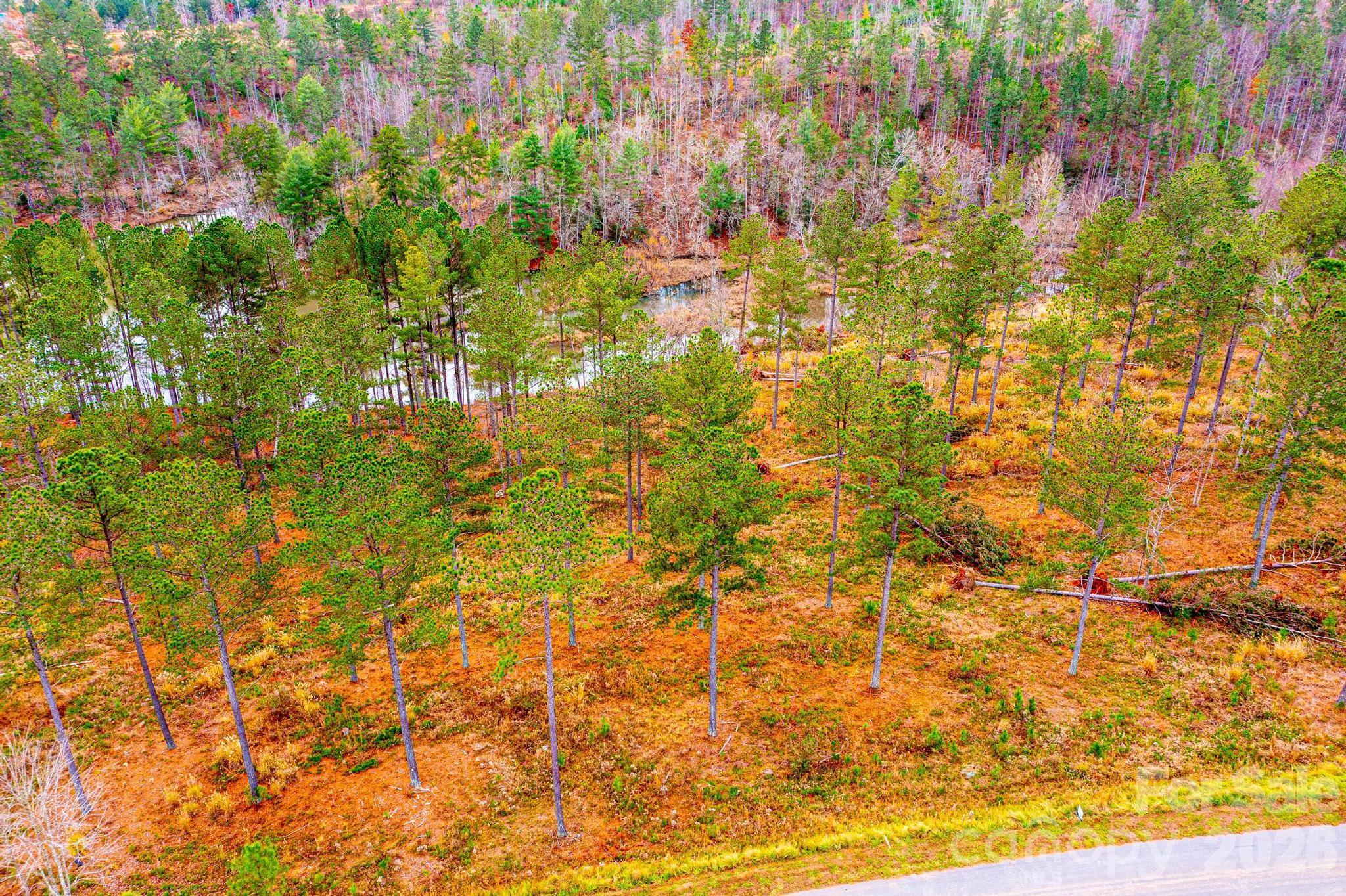 2188 Snowmass Drive Connelly Springs, NC 28612 - Photo 4 of 17