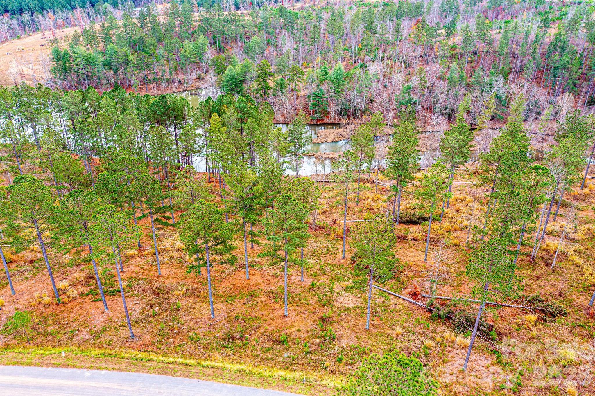 2188 Snowmass Drive Connelly Springs, NC 28612 - Photo 5 of 17 a picture of flowers