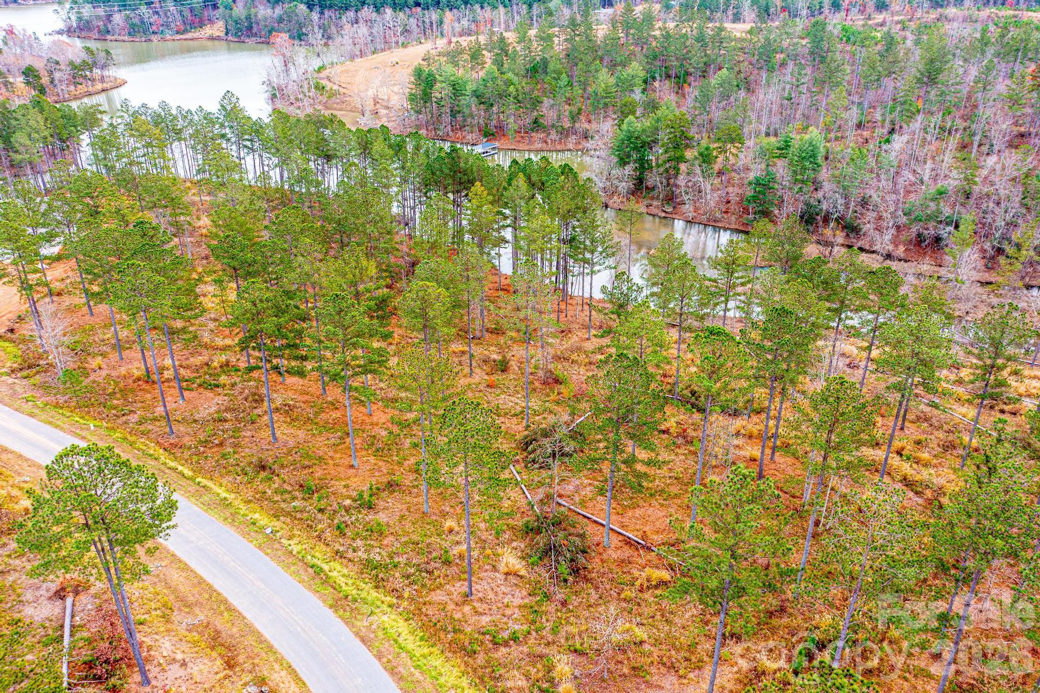 2188 Snowmass Drive Connelly Springs, NC 28612 - Photo 6 of 17