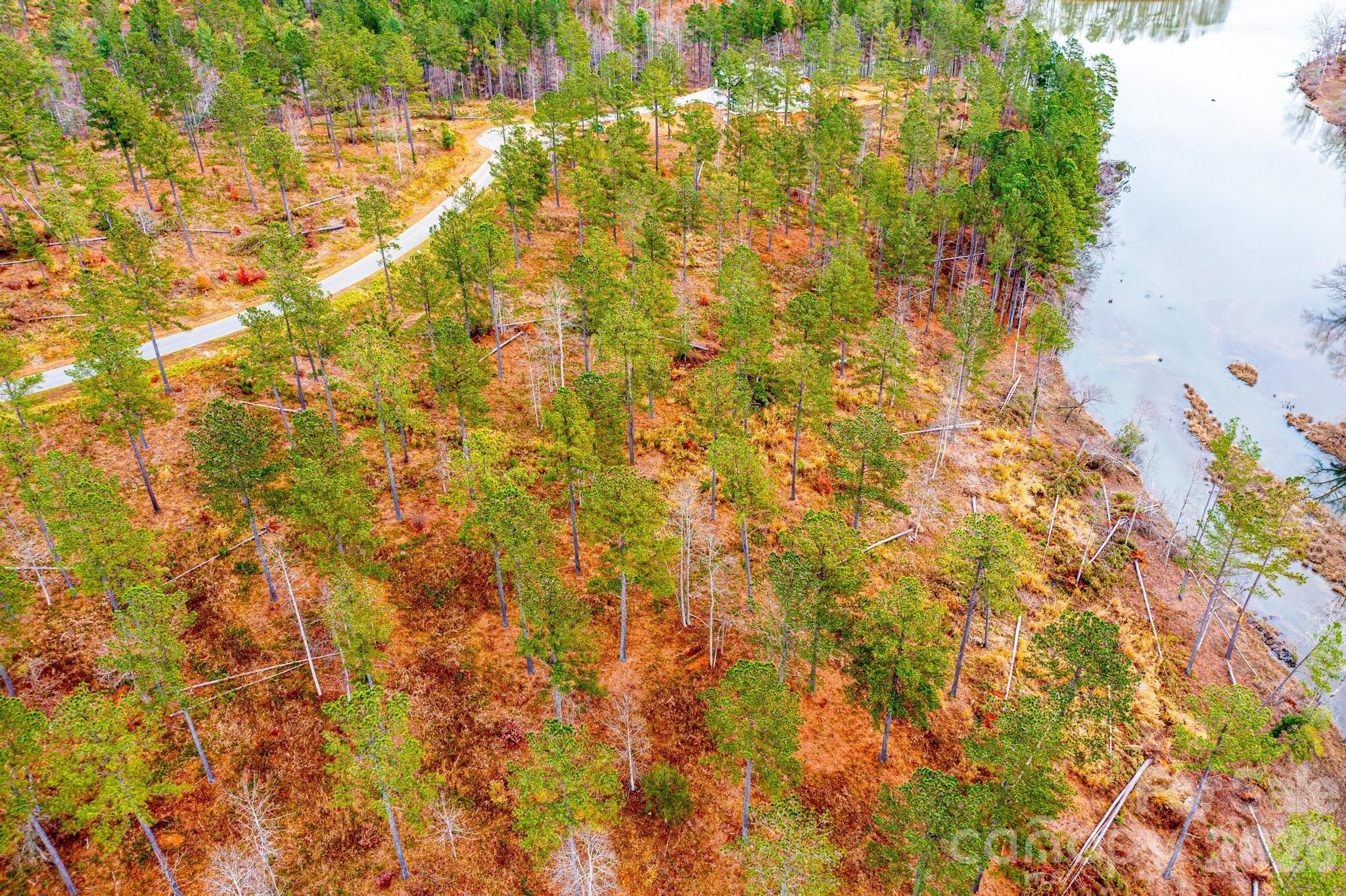 2188 Snowmass Drive Connelly Springs, NC 28612 - Photo 7 of 17 a view of yard with green space