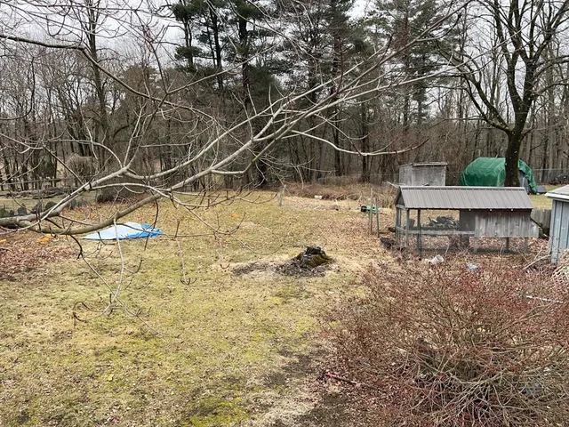 a view of a backyard of the house