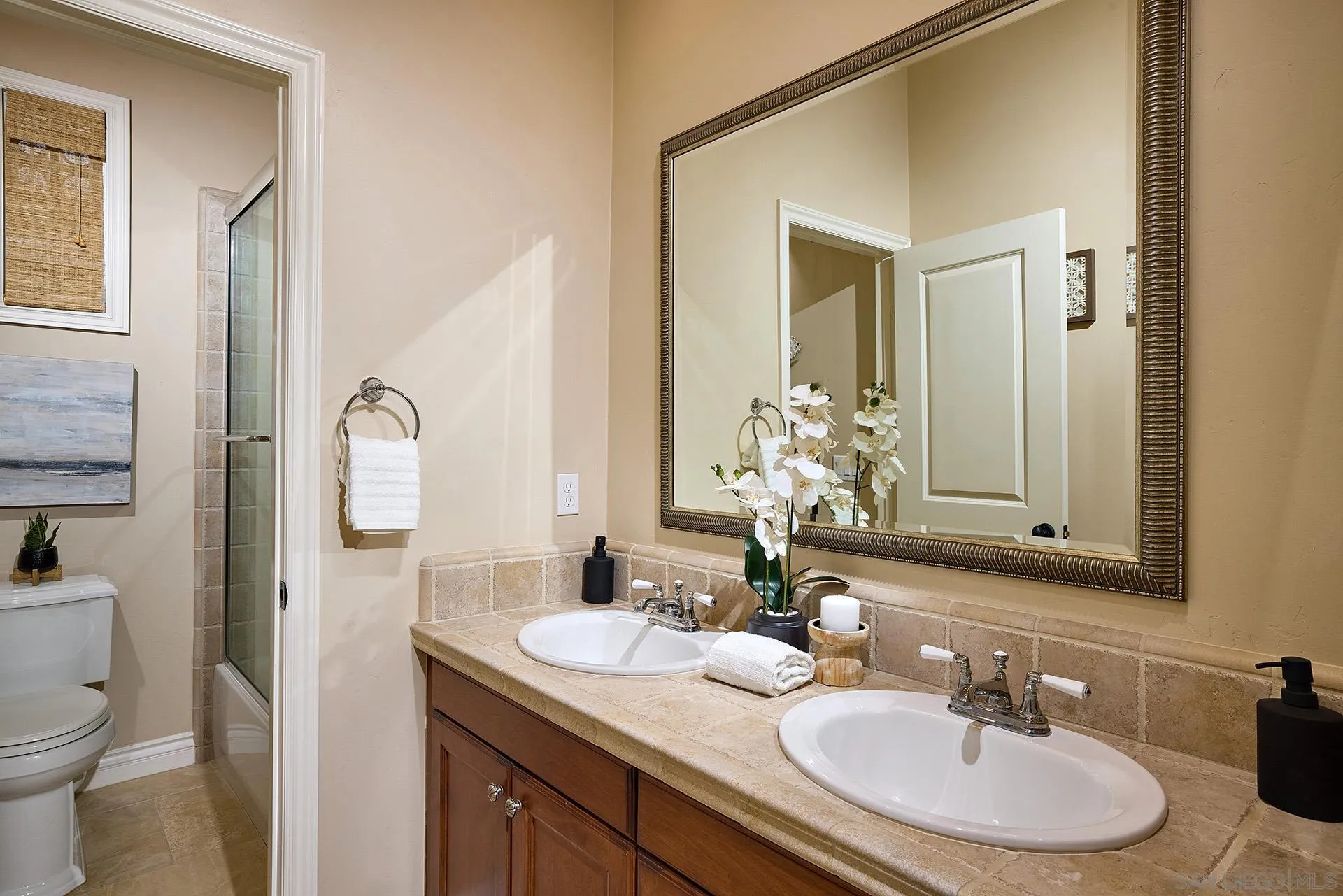 6615 Halite Place Carlsbad, CA 92009 - Photo 22 of 56 a bathroom with a granite countertop sink and a mirror
