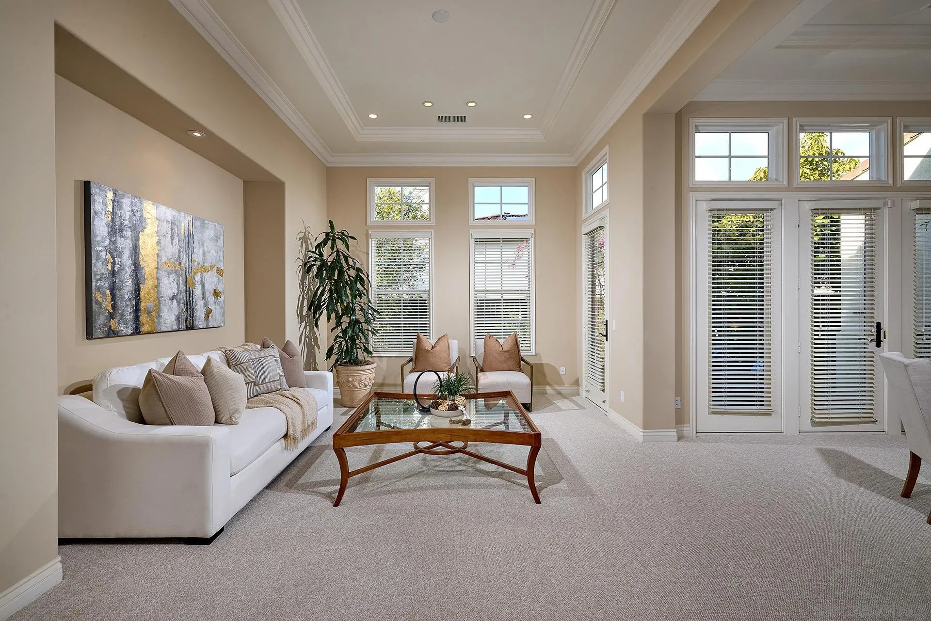 6615 Halite Place Carlsbad, CA 92009 - Photo 4 of 56 a living room with furniture and a potted plant