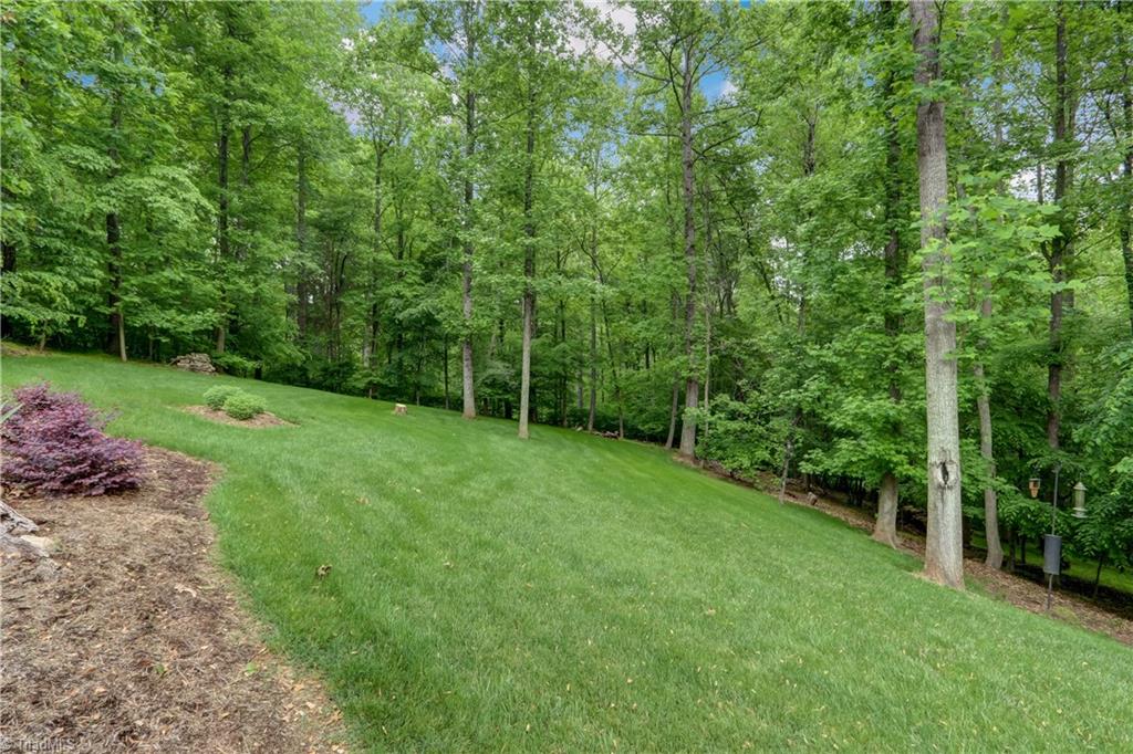5807 Bison Drive Oak Ridge, NC 27310 - Photo 33 of 39 Rear yard bounds about 6.5 acres that is currently not able to be developed.