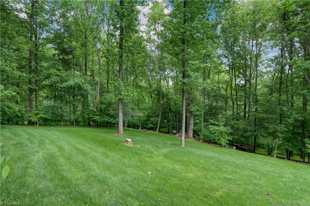 5807 Bison Drive Oak Ridge, NC 27310 - Photo 35 of 39 Plenty of play or garden area.