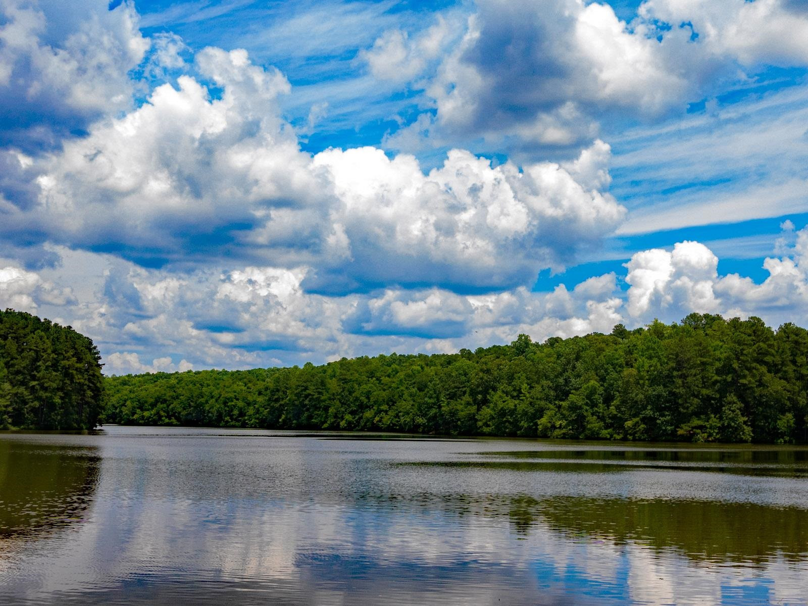 105 Springtime Fields Lane Wake Forest, NC 27587 - Photo 57 of 59 Photo 57