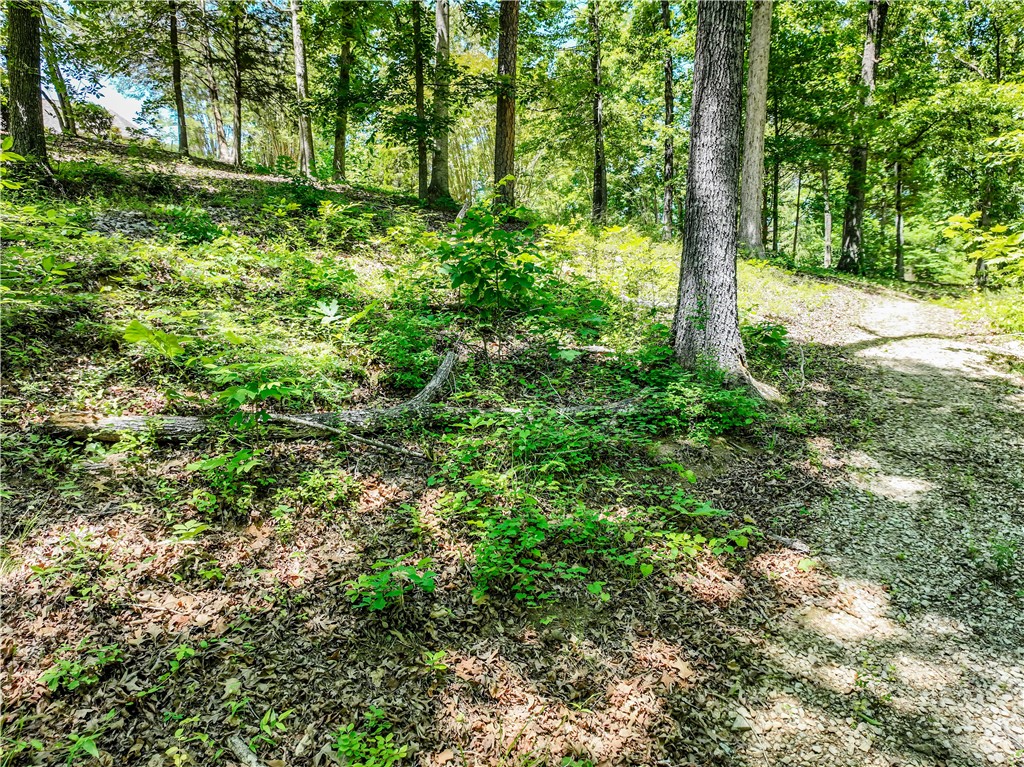 164 Wild Azalea Point Seneca, SC 29672 - Photo 17 of 31