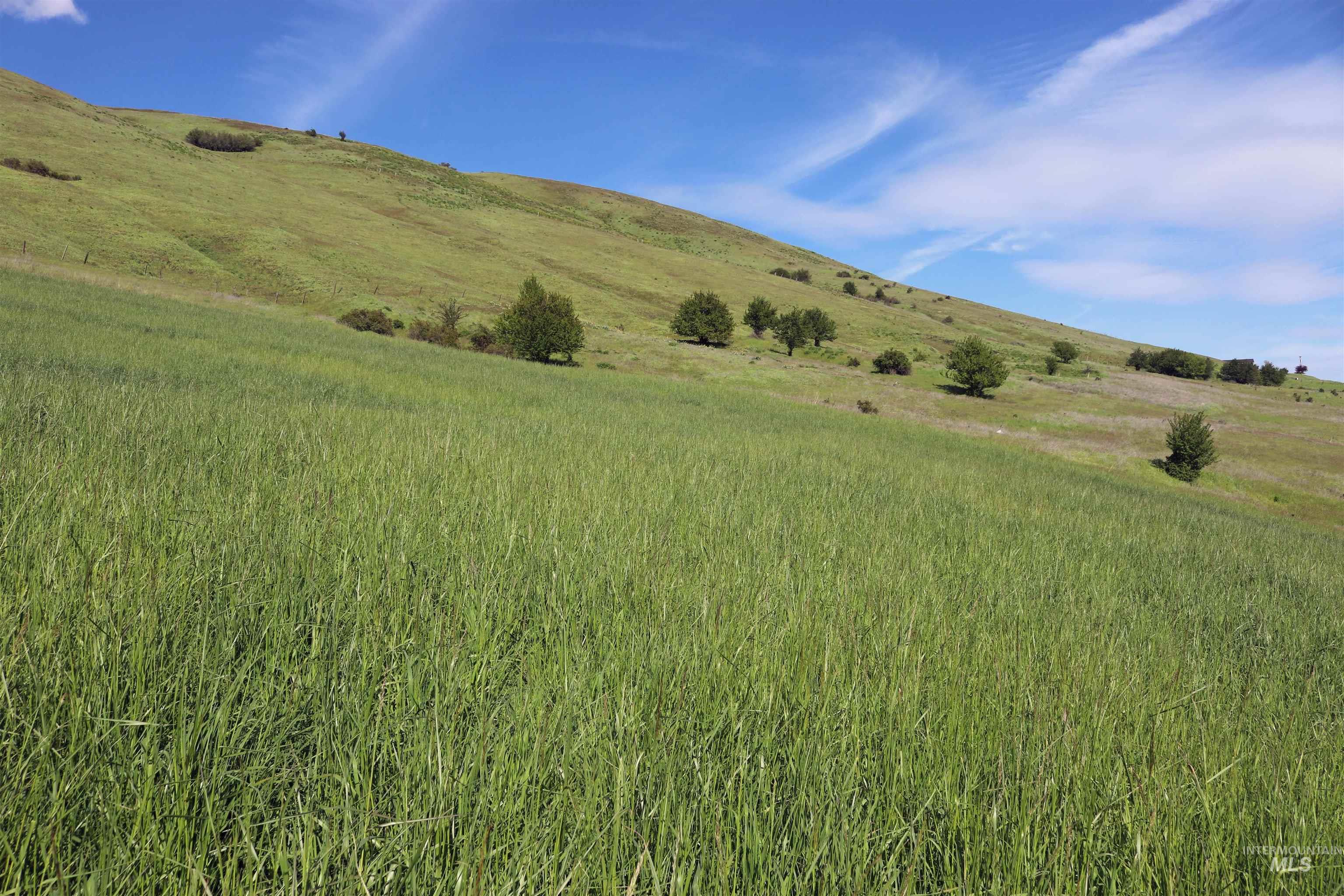 Tbd Sunnyside Bench Road Lenore, ID 83541 - Photo 12 of 37 Gallery Image 12