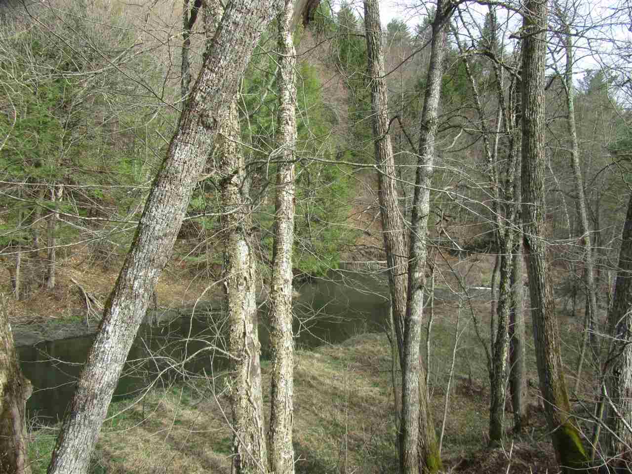 2394 Vt Rt 14 Route East Randolph, VT 05041 - Photo 3 of 5