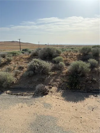 $12,000 | 0 Cholla Road, Adelanto, CA 92301