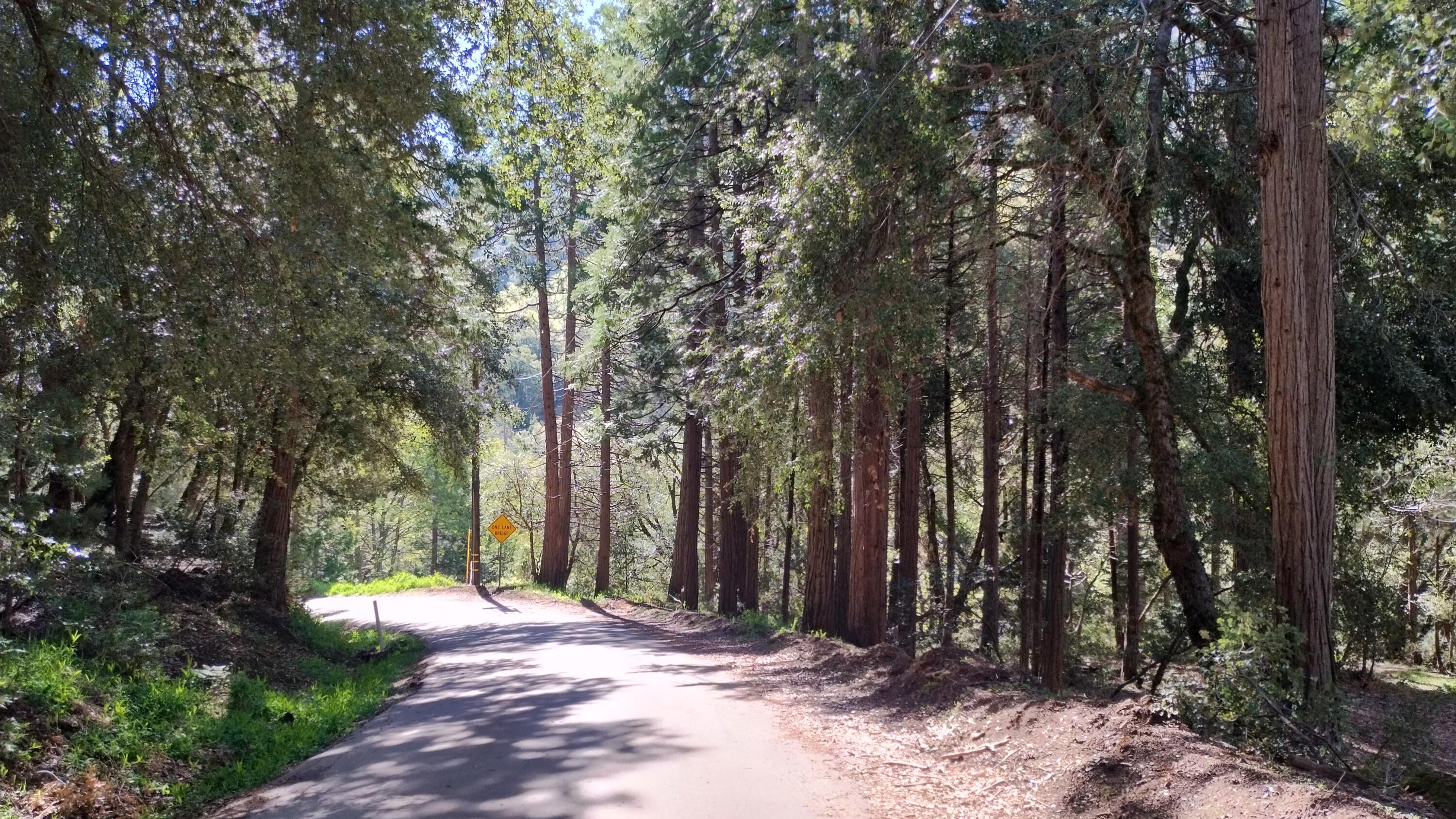 1693 Forest Rte 21S94 Camp Nelson, CA 93265 - Photo 79 of 86 65.5-Looking down Coy Flat Rd towards br