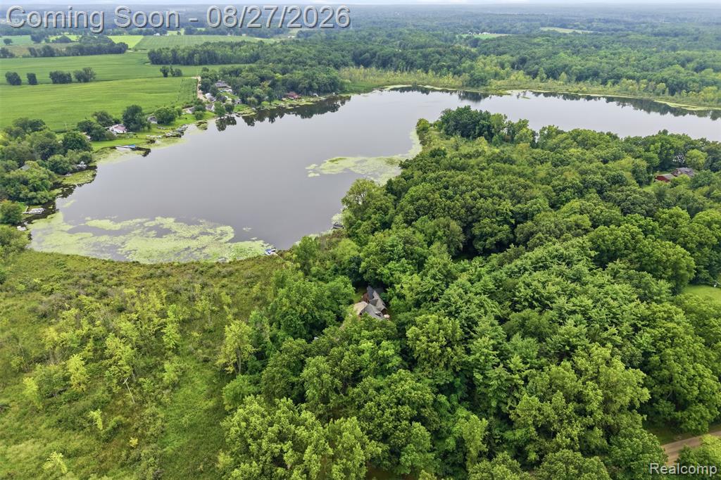 9317 East Lovejoy Road Linden, MI 48451 - Photo 55 of 62 Gallery Image 55