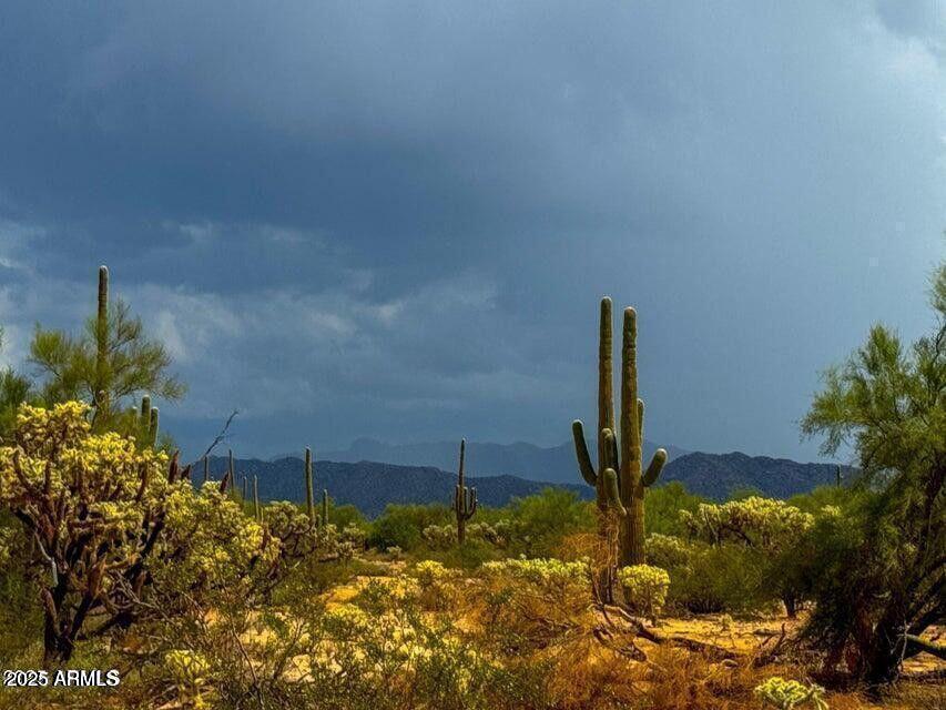 0 South Twin Hawk Lane Marana, AZ 85658 - Photo 12 of 27 a view of a backyard