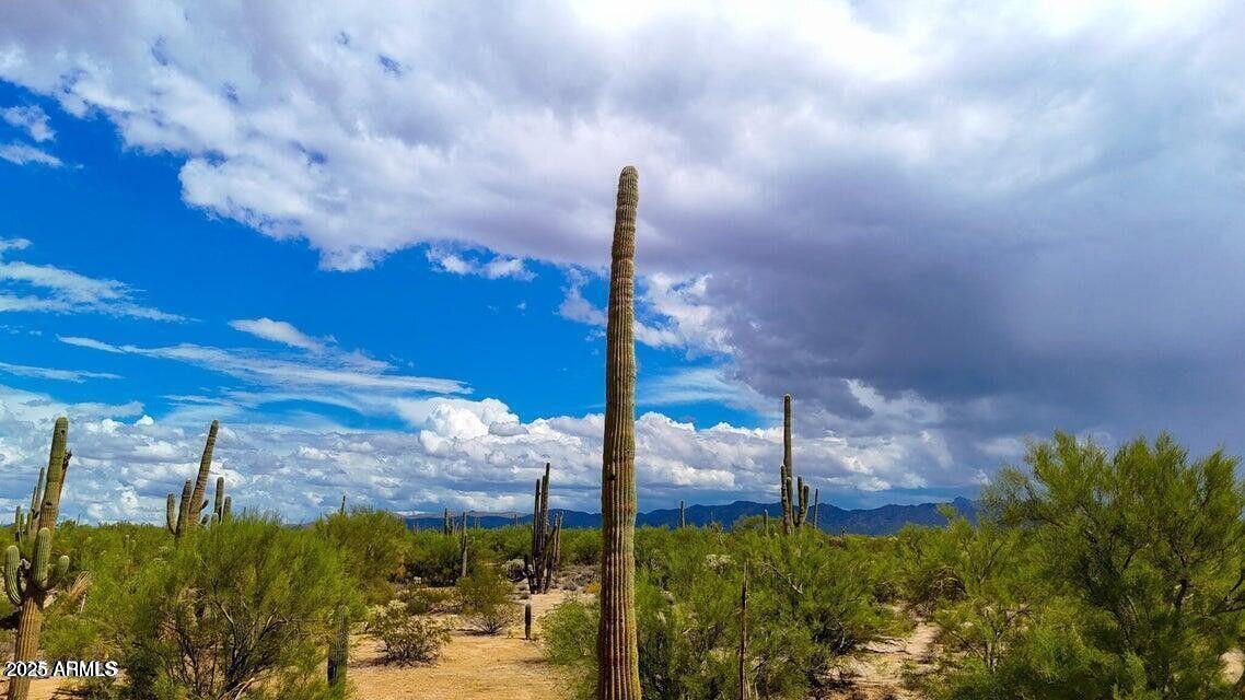 0 South Twin Hawk Lane Marana, AZ 85658 - Photo 18 of 27 a street sign sitting on the side of a road