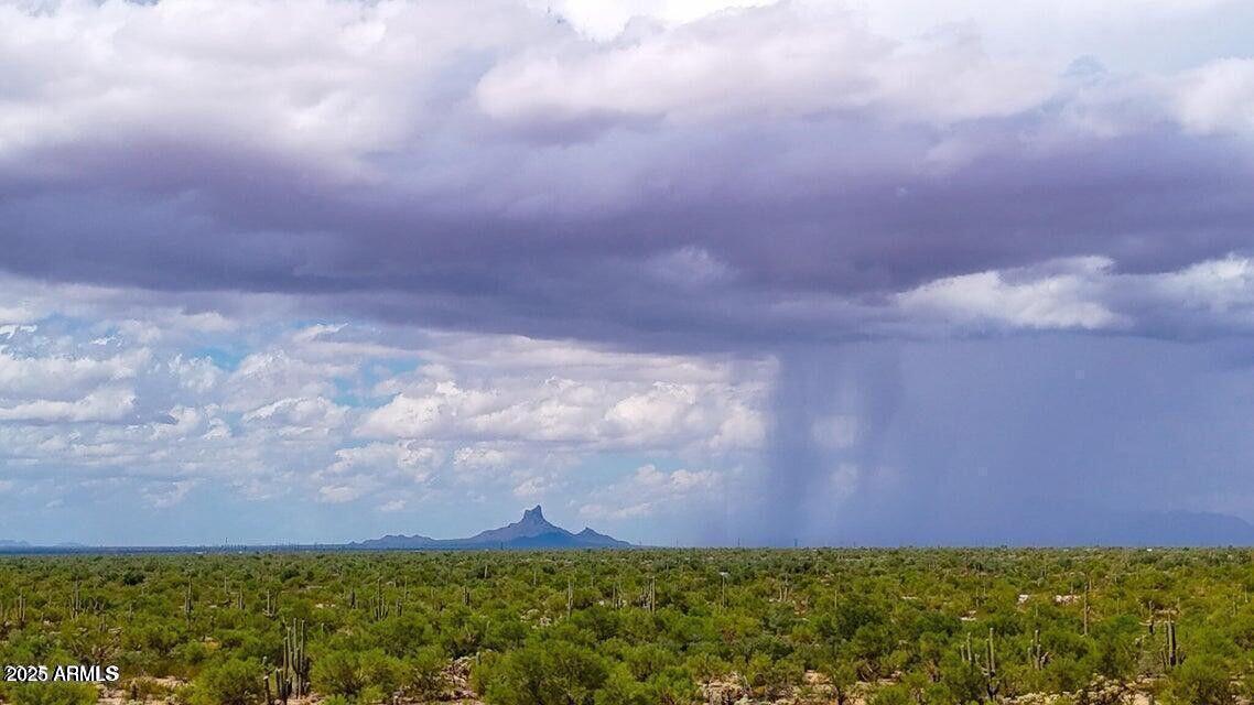 0 South Twin Hawk Lane Marana, AZ 85658 - Photo 23 of 27 a view of yard with grass and a yard