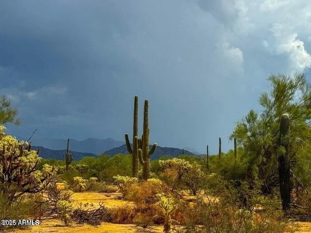a view of a water fountain