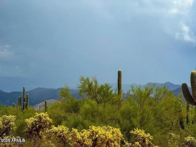 a view of a lake with a building in background