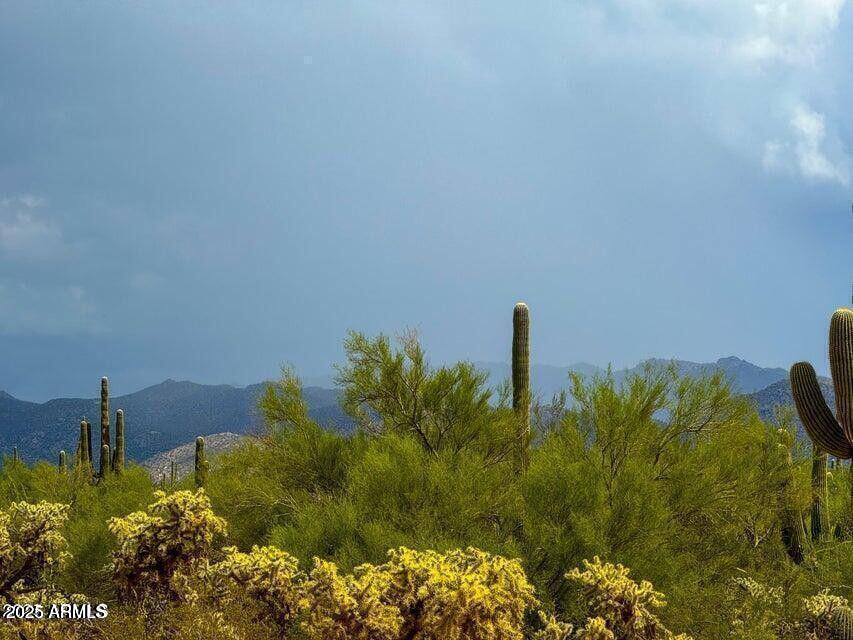 0 South Twin Hawk Lane Marana, AZ 85658 - Photo 5 of 27 a view of a lake with a building in background