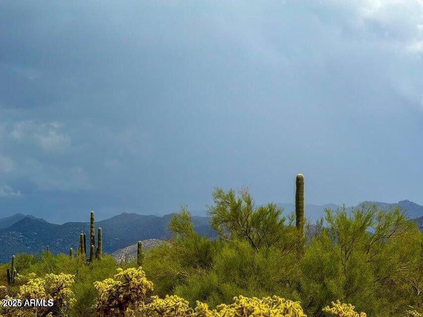 0 South Twin Hawk Lane Marana, AZ 85658 - Photo 6 of 27 a view of a garden