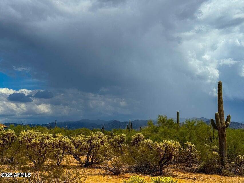 0 South Twin Hawk Lane Marana, AZ 85658 - Photo 9 of 27 a view of a yard