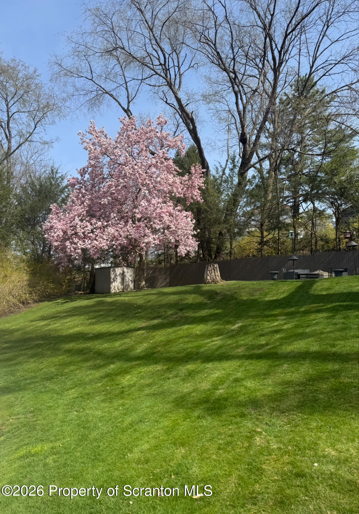 424 New Street Duryea, PA 18642 - Photo 37 of 37 Backyard-Summer