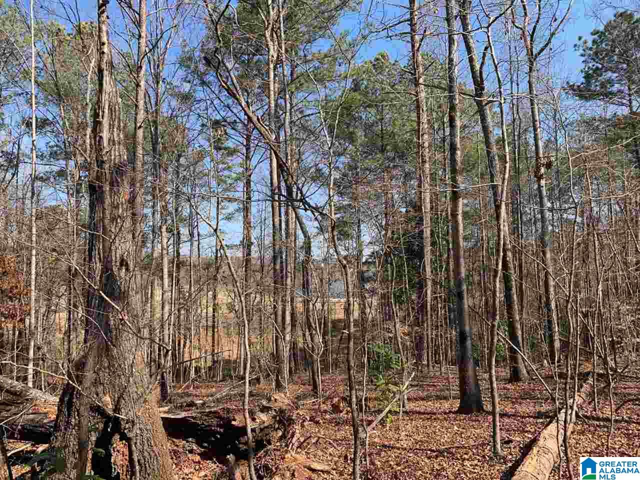 Mountain Street, Unit 12 Heflin, AL 36264 - Photo 1 of 5