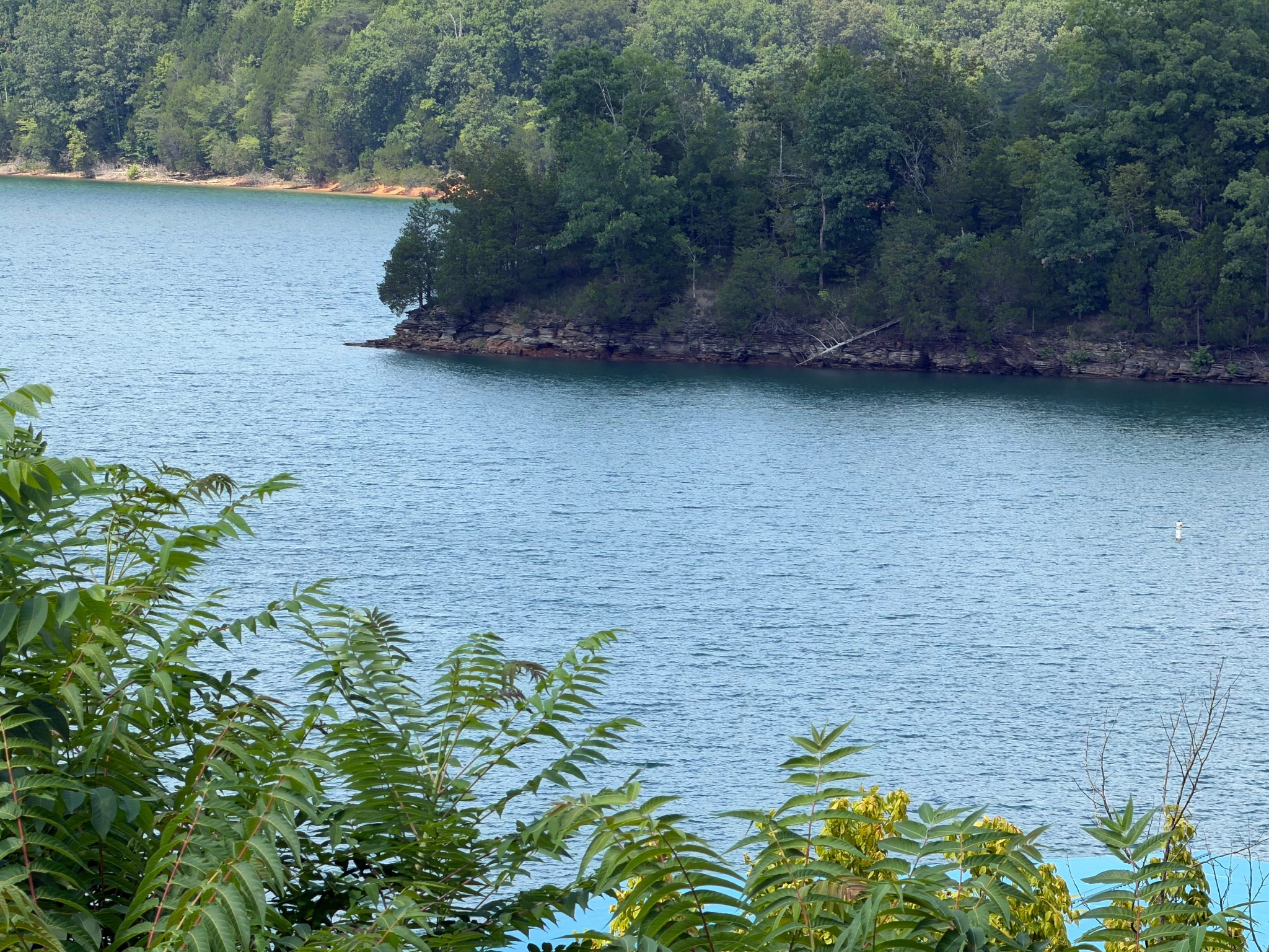 955 Livingston Boatdock Road Allons, TN 38541 - Photo 26 of 34 Gallery Image 26