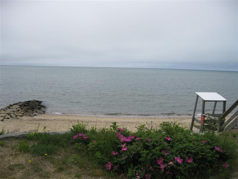 39 Ferncliff Road Dennis Port, MA 02639 - Photo 17 of 17 Additional Photo