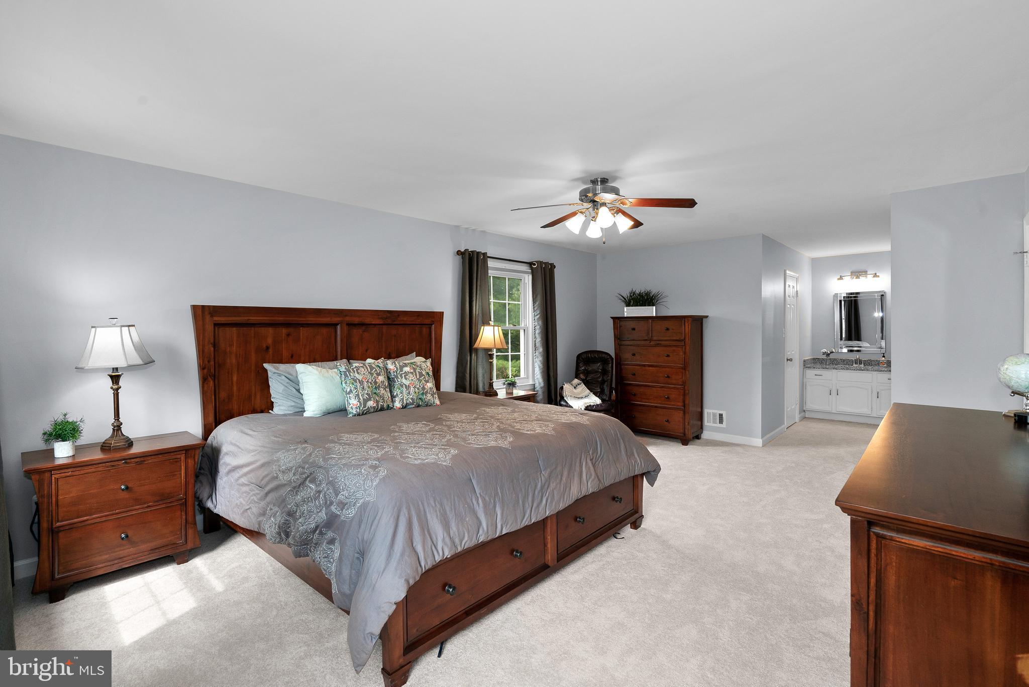13910 Poplar Tree Road Chantilly, VA 20151 - Photo 24 of 51 Spacious Primary Suite w/ Fan and New Carpet