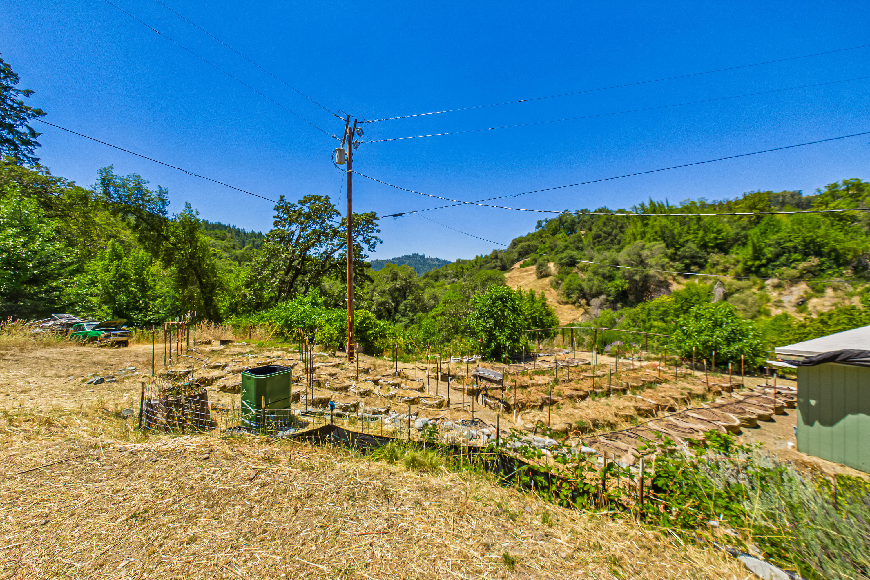 1250 Zenia Bluff Road Alderpoint, CA 95511 - Photo 64 of 73