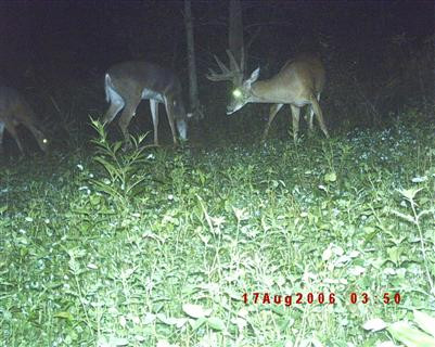 5 Timber Creek Road Lawrenceburg, KY 40342 - Photo 14 of 22 Photo 14