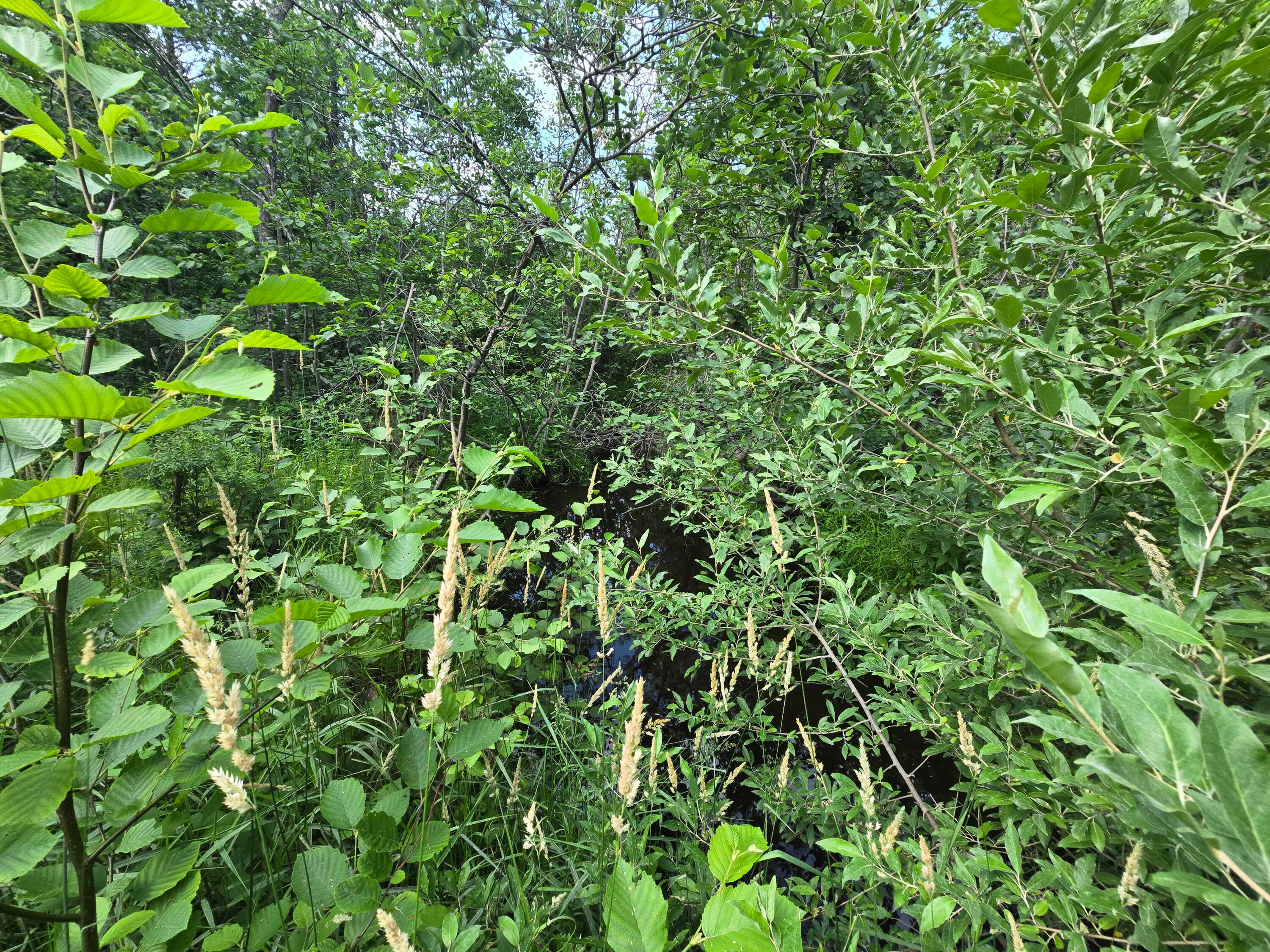 1987 North Galbraith Road Mio, MI 48647 - Photo 54 of 88 20250703_095920