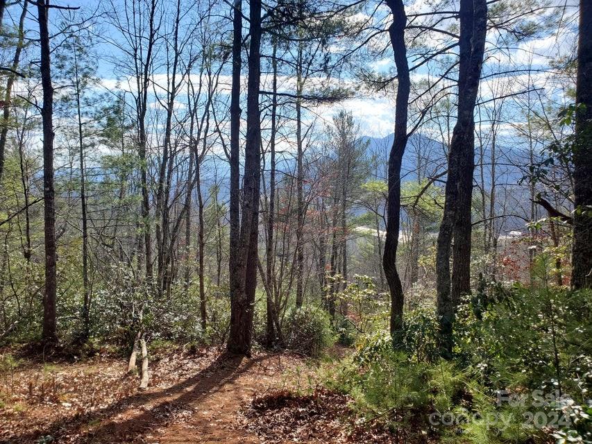 Tbd Elkins Road, Unit 21 Bakersville, NC 28705 - Photo 2 of 9