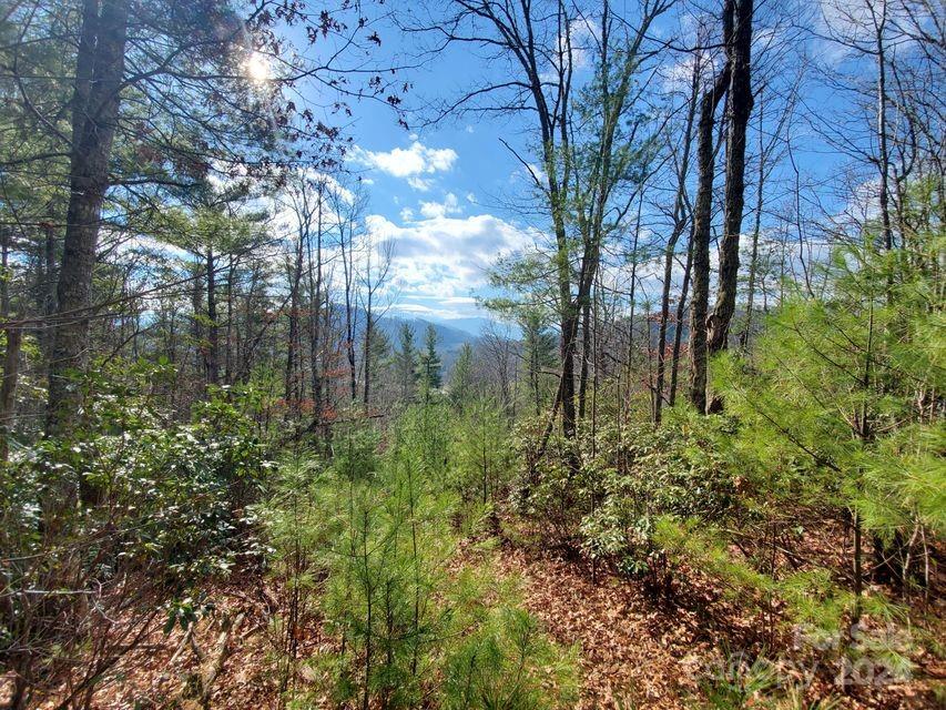 Tbd Elkins Road, Unit 21 Bakersville, NC 28705 - Photo 5 of 9